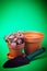 Clay plant pots