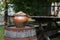 Clay pot filled with empty sea snails shells on a rusty old barr