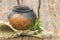 Clay pot, old ceramic vase and herbs