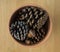 Clay Pot of Pinecones and Acorns on Wood Background