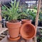 clay pot plantation gardening idealife