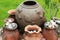 The clay pots are arranged in groups, with large, tall vessels s