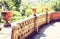 Clay pots for decorative plants in Parco Colonna, famous public park in Taormina, Sicily, Italy