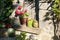 Clay pots with flowers on stonewall