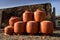 Clay Pots - India