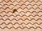 Clay roof tiles