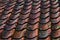 Clay roof tiles in red with moss and lichen.
