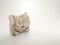 Clay Sculpture on White Background