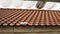 Clay tile roofing sheets has Cable TV Coil placed on the house