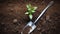 Clean And Aesthetic Skip Trowel Shovel For Gardening