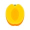 Clean apricot icon, flat style