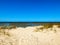 Clean beach shore with dune vegetation