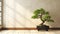 Clean blank sage green wall with large Japanese bonsai.