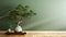 Clean blank sage green wall with large Japanese bonsai tree in old concrete pot stand on brown parquet floor in sunlight for
