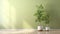 clean blank sage green wall with tropical tree in green modern design pot