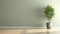 clean blank sage green wall with tropical tree in green modern design pot