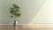 clean blank sage green wall with tropical tree in green modern design pot with sunlight with wooden floor