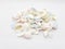 Clean Bright Colorful Elegant Beautiful Artistic Natural Seashells Set for Home Interior and Outdoor Decorative Elements 02