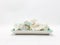 Clean Bright Colorful Elegant Beautiful Artistic Natural Seashells Set for Home Interior and Outdoor Decorative Elements 05