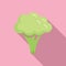 Clean brocoli icon flat vector. Cabbage vegetable