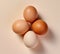 clean chicken eggs in a minimalist style