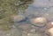 Clean clear water river nature and Big stone, pile of rock in the river