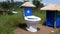 Clean Commodes for a Better Tomorrow: World Toilet Day Creations