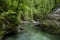 Clean crystal river goes through montains. Wild nature, Vintgar gore Slovenia