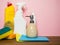 Clean detergent bottles and sponges