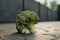 Clean and fresh, broccoli head resting on a sleek concrete surface