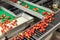 Clean and fresh gala apples on a conveyor belt in a fruit packaging warehouse