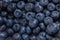 Clean freshly picked blueberries on white plate - close up studio shot.  Ingredients:  Antioxidants , Vitamin C, Antioxidant