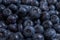 Clean freshly picked blueberries on white plate - close up studio shot.  Ingredients:  Antioxidants , Vitamin C, Antioxidant