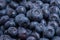 Clean freshly picked blueberries on white plate - close up studio shot.  Ingredients:  Antioxidants , Vitamin C, Antioxidant