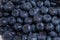 Clean freshly picked blueberries on white plate - close up studio shot.  Ingredients:  Antioxidants , Vitamin C, Antioxidant