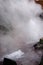 Clean geothermal energy escaped by geysers from the bowels of the earth