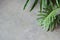 Clean gray concrete cement solid  wall floor with part of plant leaf for backgrounds with copy space