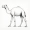 Clean Line Work: Ambient Occlusion Style Camel Drawing