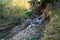 Clean little creek polluted with human trash, conceptual image of human negligence.