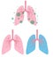 Clean lungs set for medicine. Coronavirus respiratory