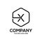 Clean luxury Letter X logo hexagon
