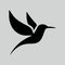 Clean modern humming bird logo. Simple minimal animal vector icon