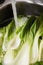 Clean Raw Organic Baby Bok Choy