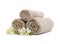 Clean rolled towels with flowers on white
