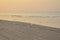 Clean seashore / beach at early morning at Mandvi