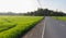 Clean straight roads and paddy fields on both sides. rural countryside beautiful landscape