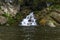 A clean tributary of a river in a mountain forest