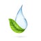 Clean water logo. Realistic water drop with green leaf. World environment day. Industrial purification aqua, isolated