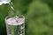 Clean water pours from a bottle into drinking glass on green nature background