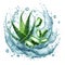 Clean water splash with mint leaves, aloe slices and splatters in water wave isolated on white background